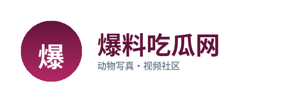 爆料吃瓜网